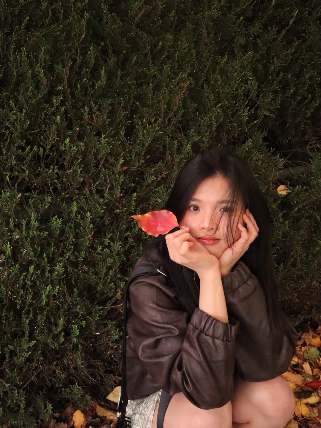 🐶🍂 4