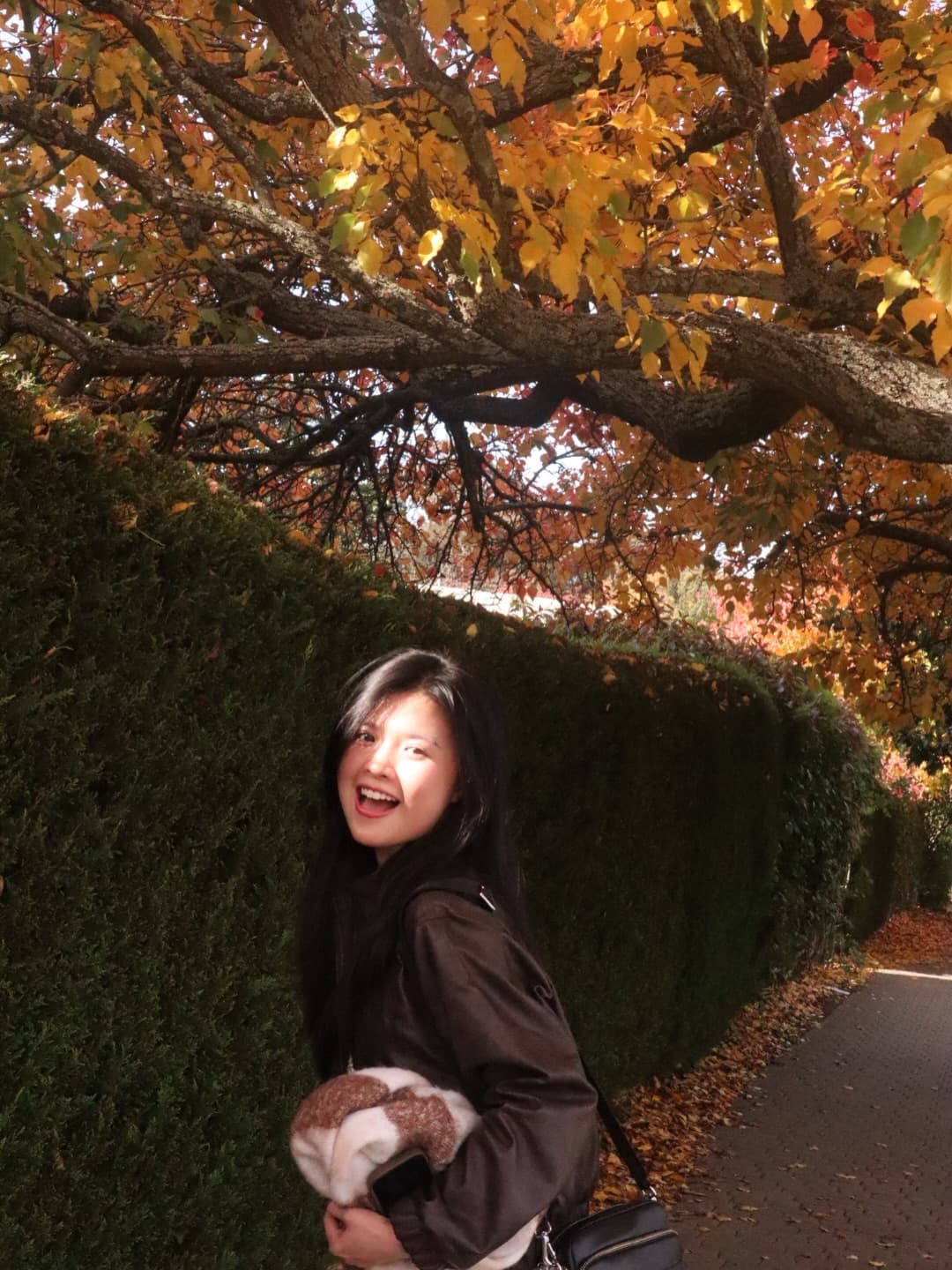 🐶🍂 5