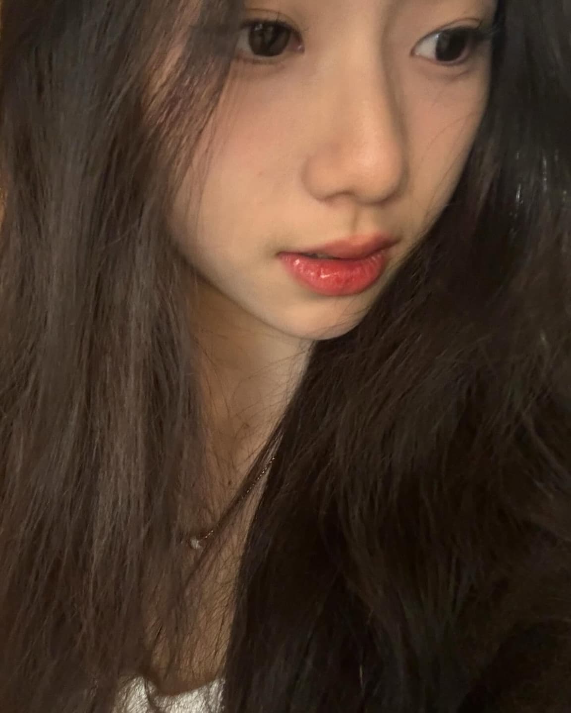 MXY 7