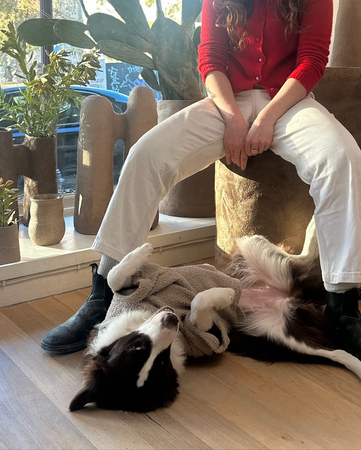 Meet FOX, 3