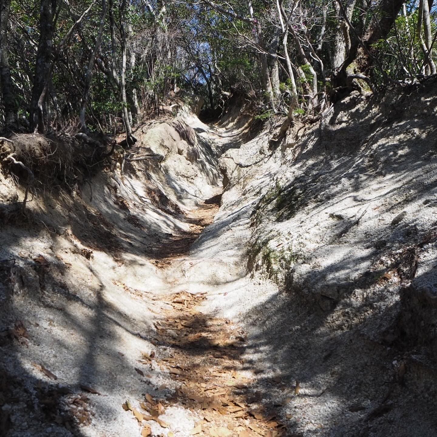 Our toughest trek, worth it for the coffee. 7