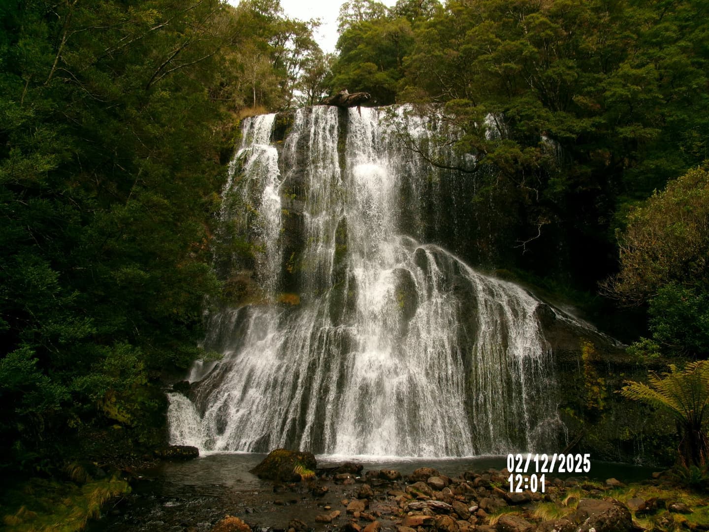 Tasmania: 5