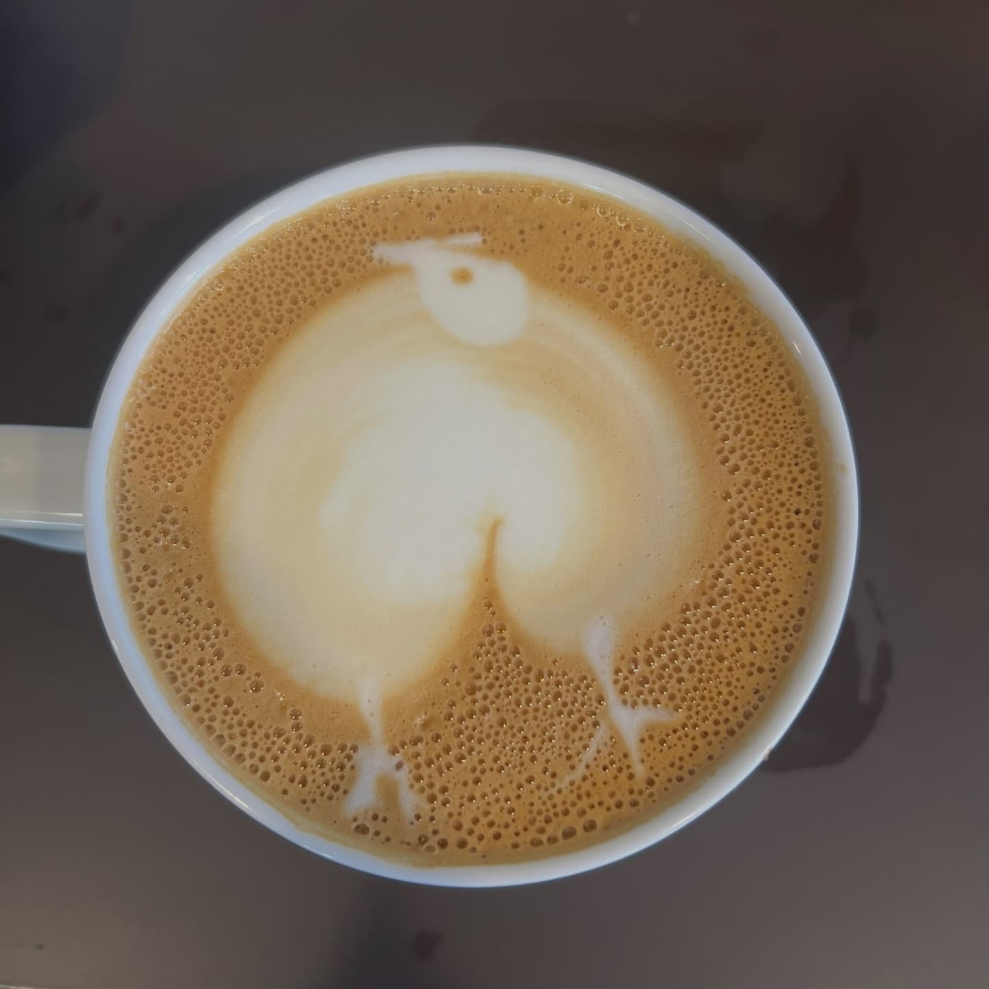Vote Latte Art for Bird of the the Year
