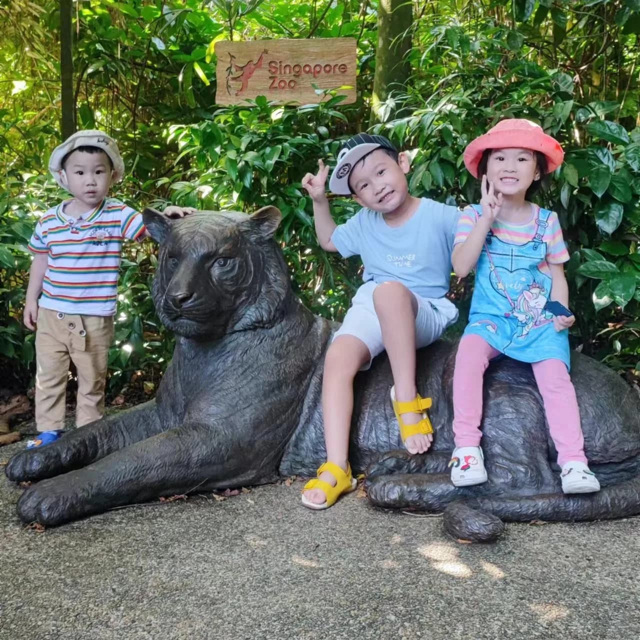 Singapore Zoo Map