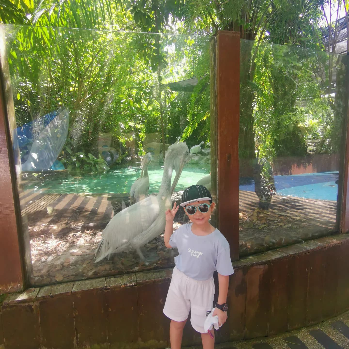 Singapore Zoo Map 4