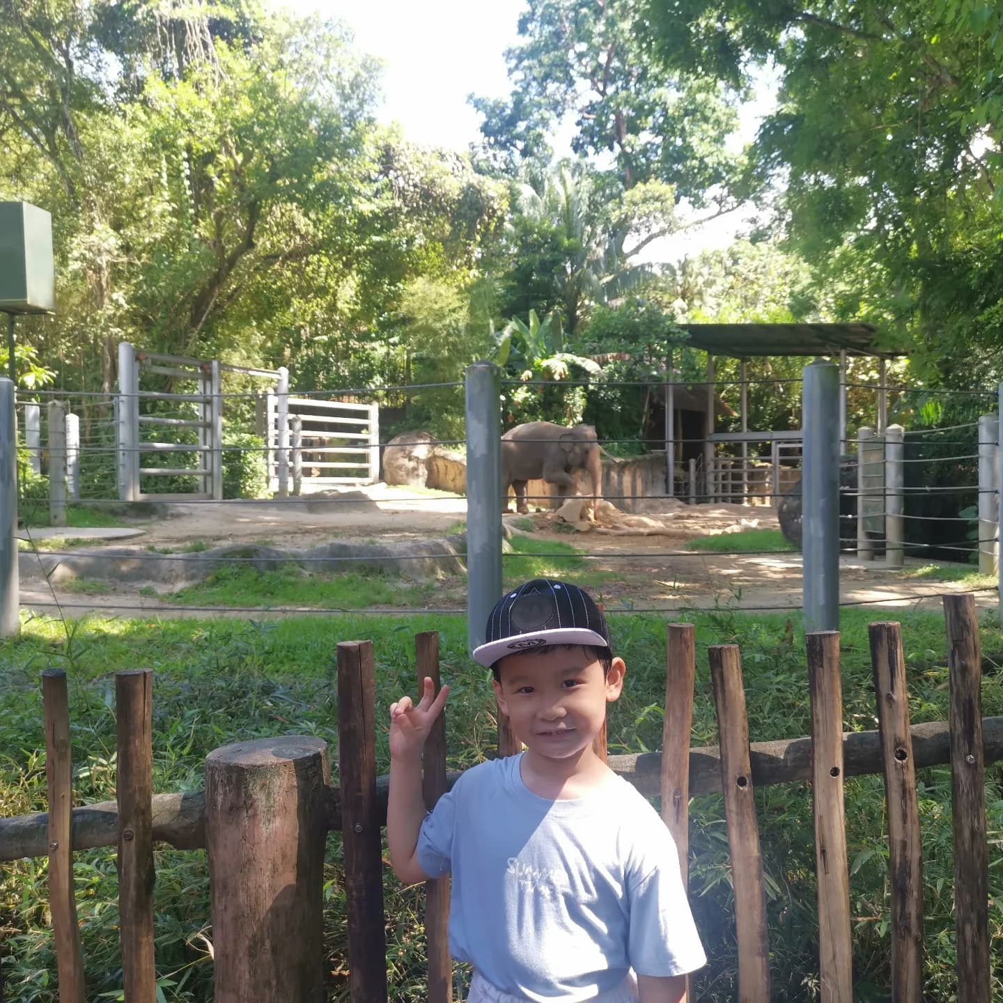 Singapore Zoo Map 5