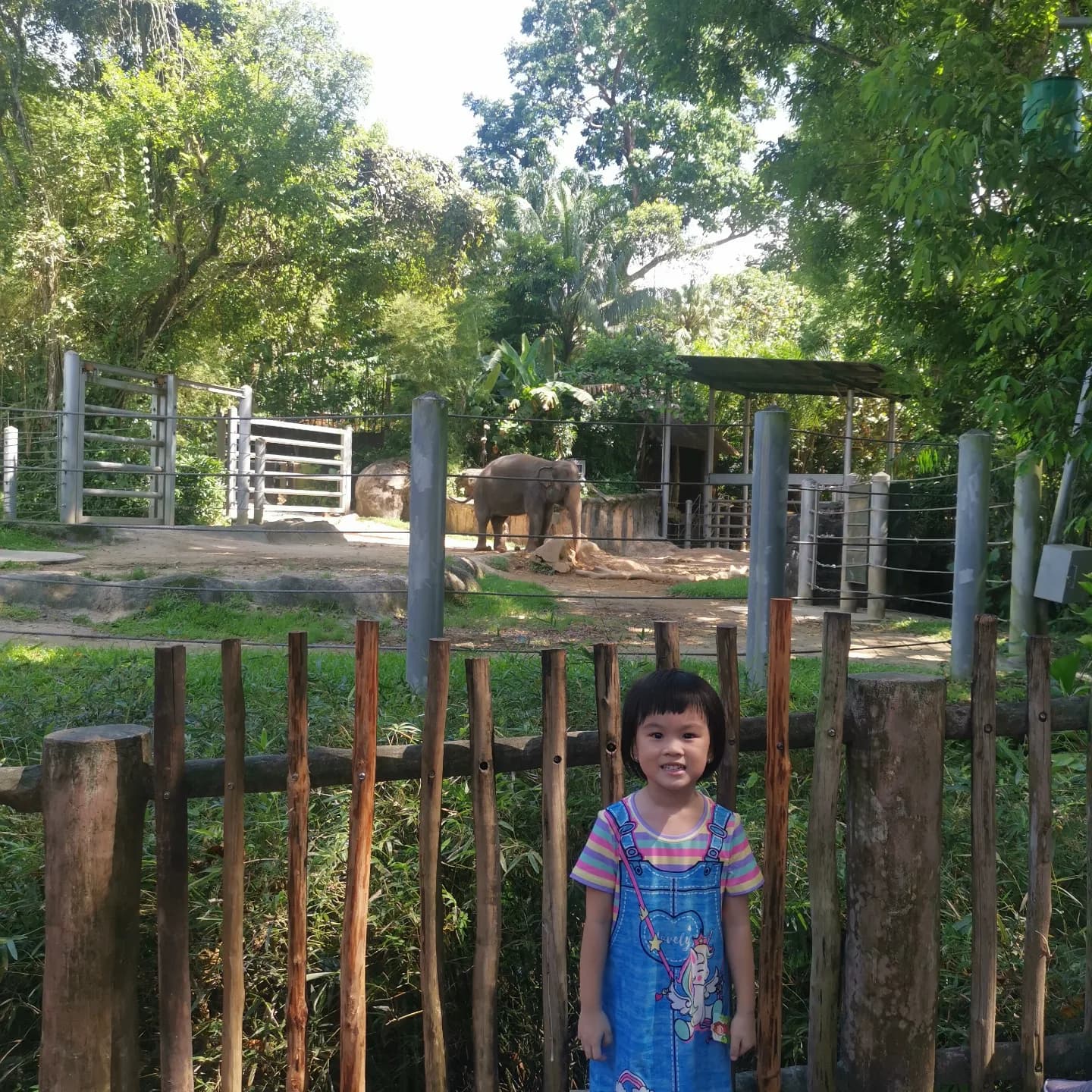 Singapore Zoo Map 6