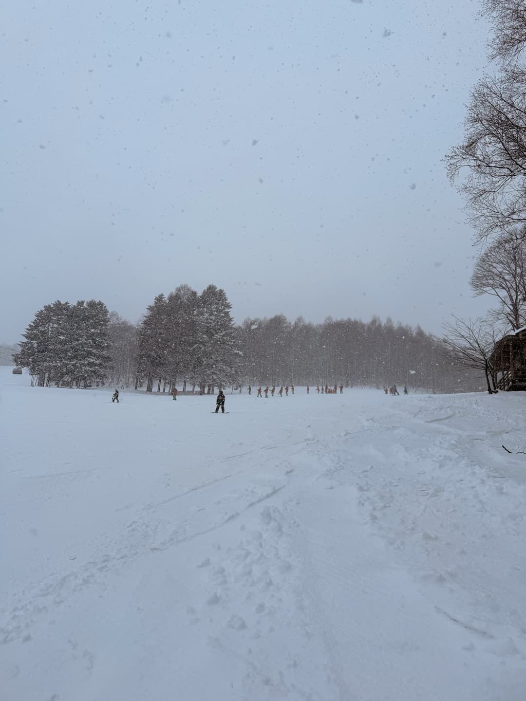 Hokkaido Snow and Skiing Adventures 7