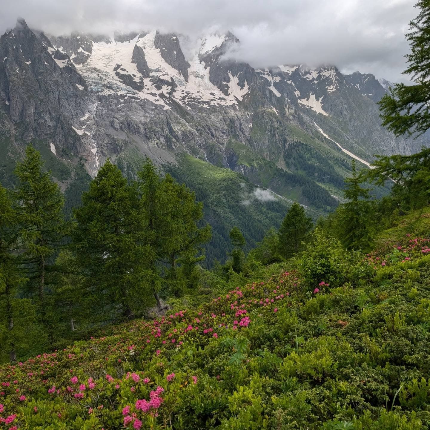 Winter Hike Photos: 8