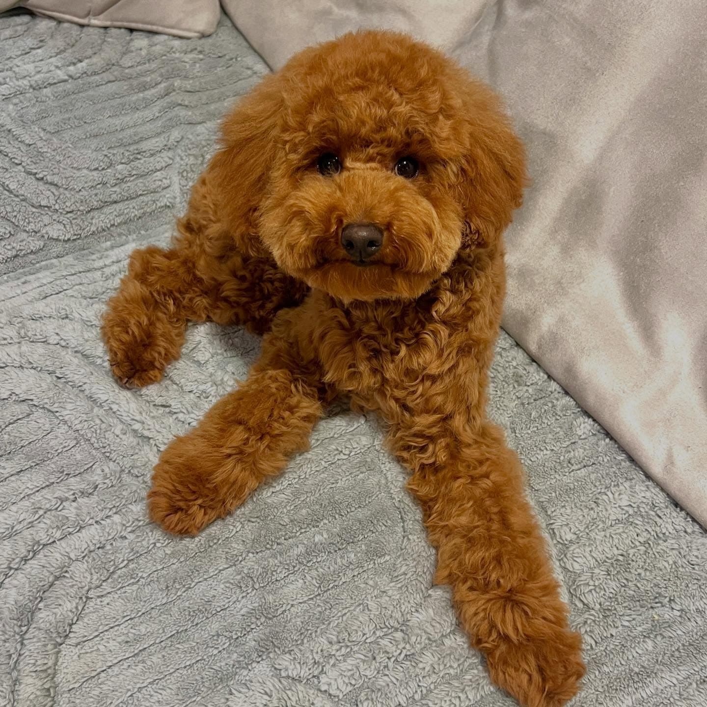 Our Little 2