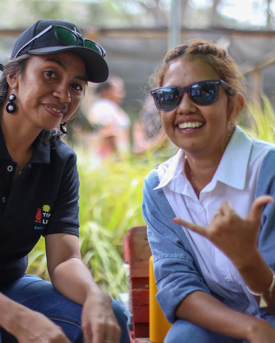 Timor 3