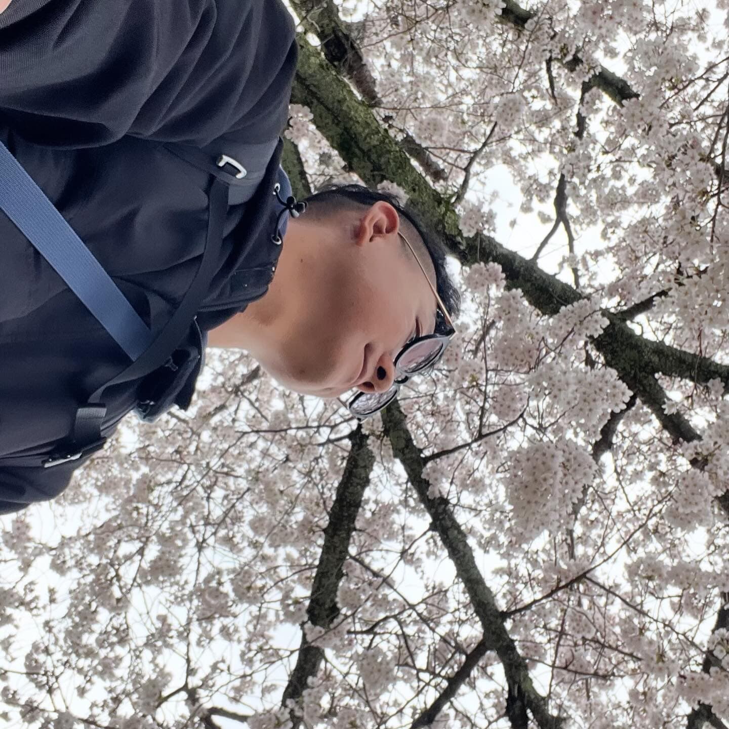 Shimane Prefecture Enmusubi Trip Map
