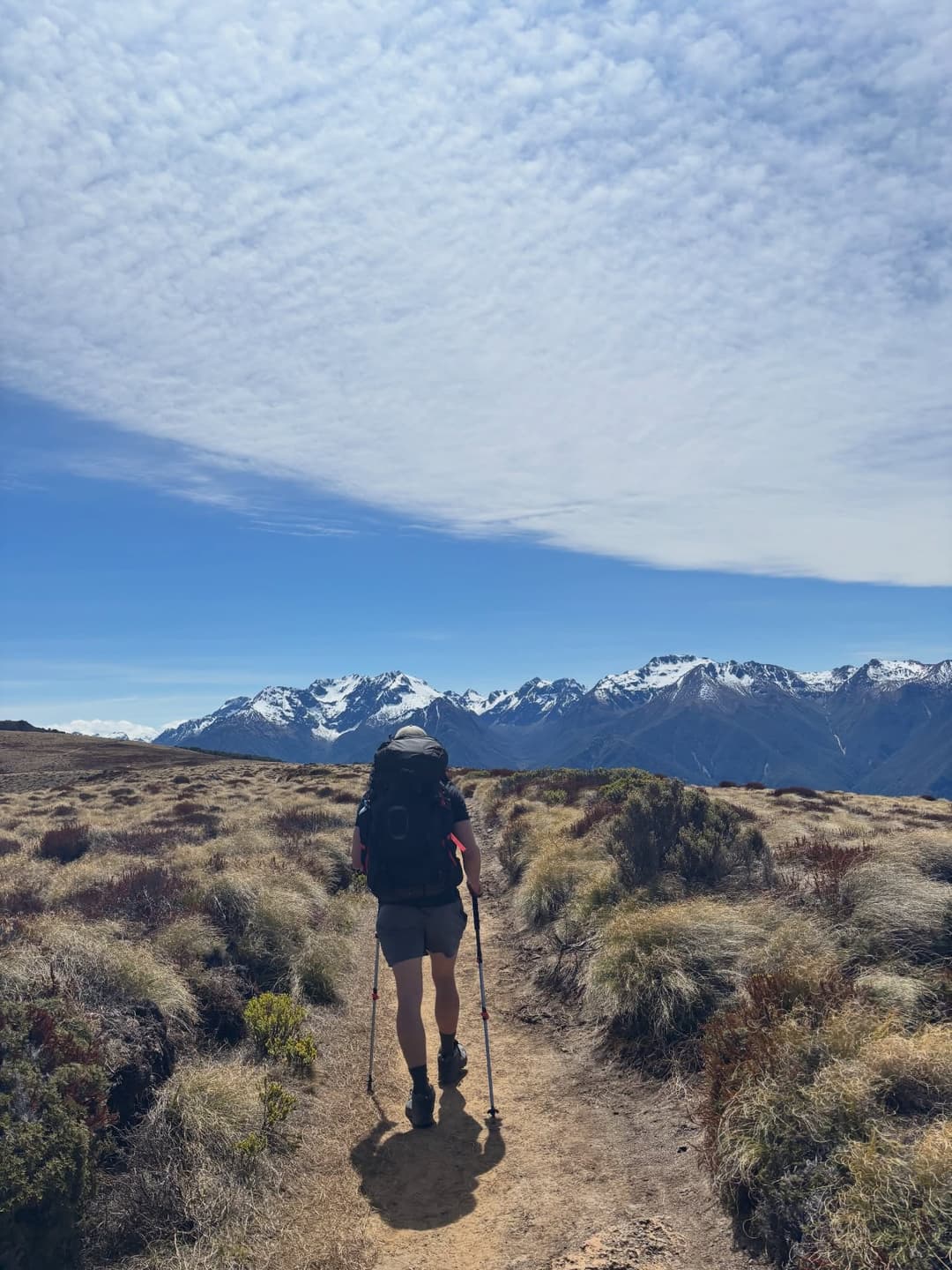 Kepler Track Highlights 2