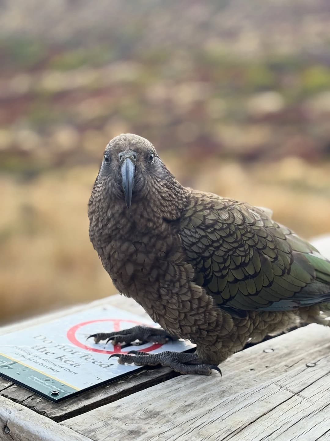 Kepler Track Highlights 7