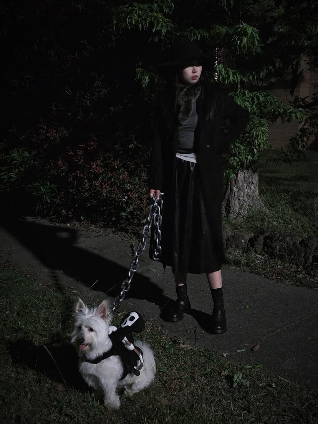 👻🪄🐶🐾