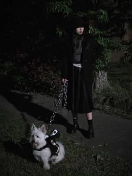 👻🪄🐶🐾 5