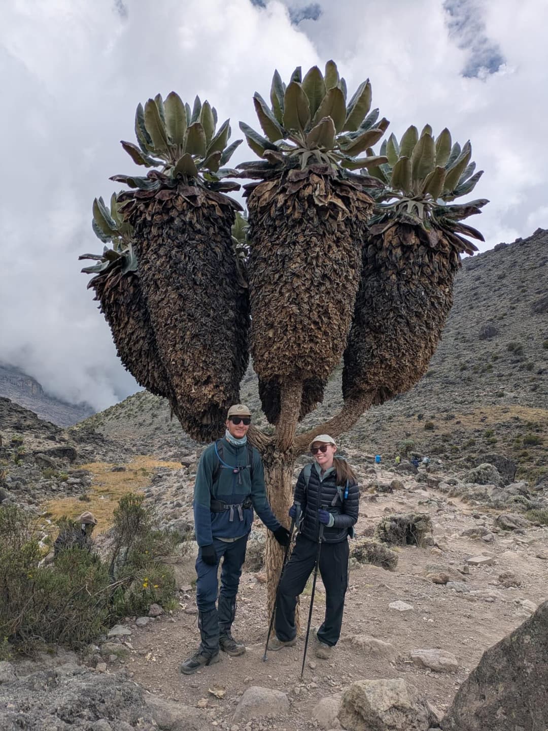 Kilimanjaro! 2