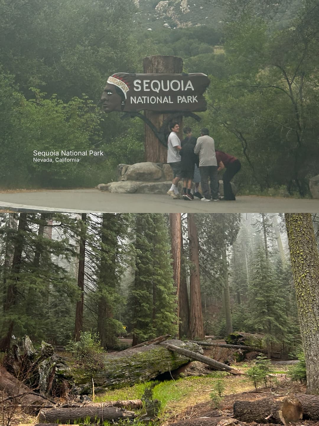 A Sequoia National Park Adventure 3