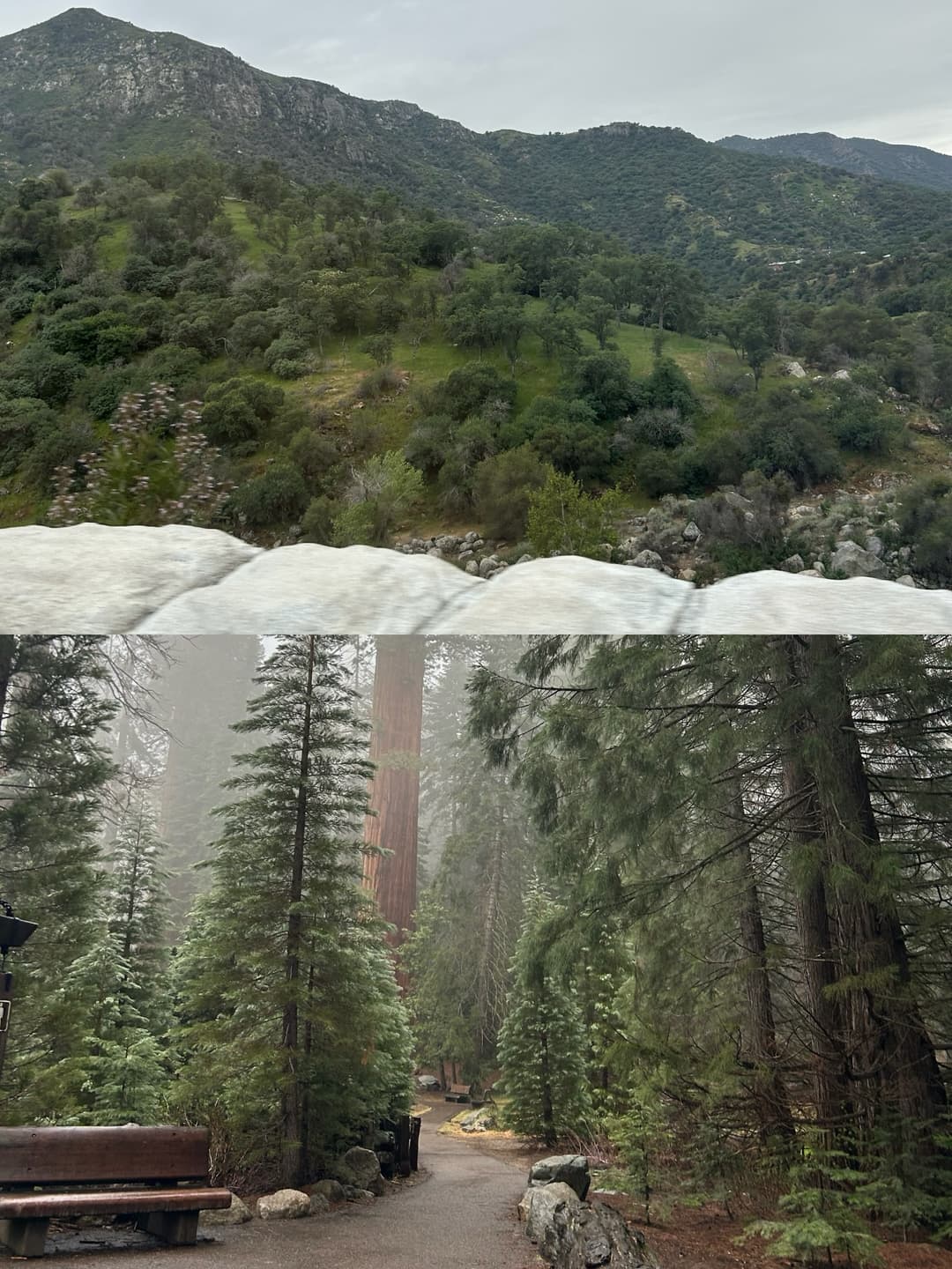 A Sequoia National Park Adventure 8