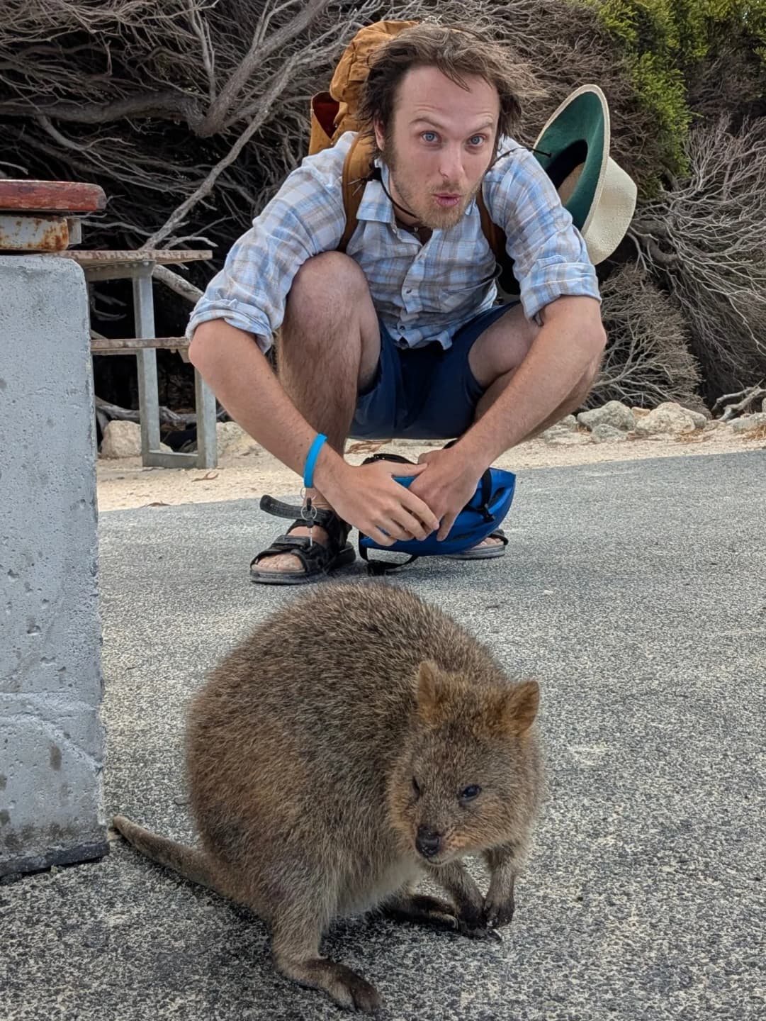 Perth and Rottnest Island Quokkas 5