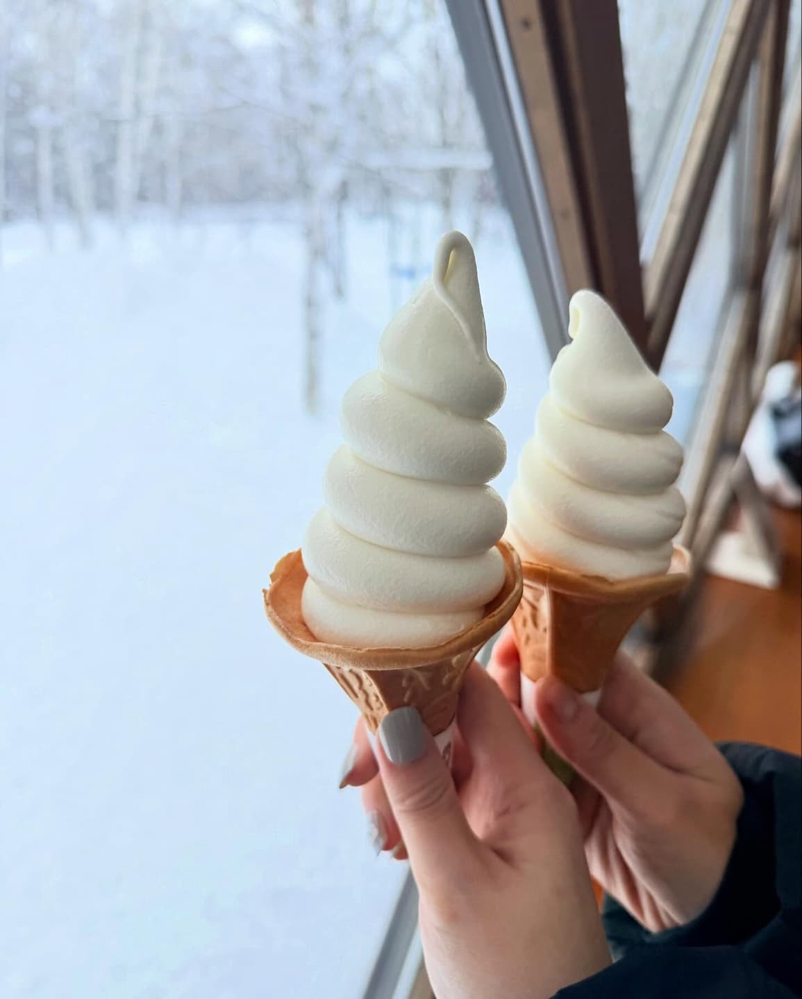 Sapporo ☃️ 7