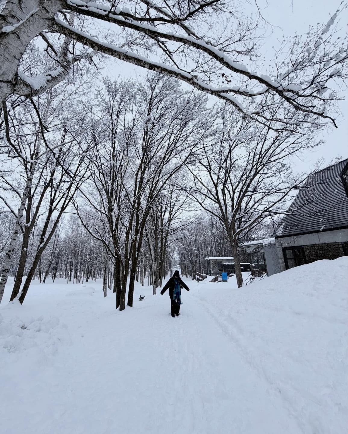 Sapporo ☃️ 8