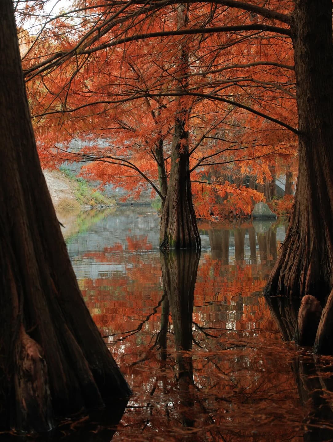Lacking wood, ask for counsel. Lacking water, ask for gentleness. 2