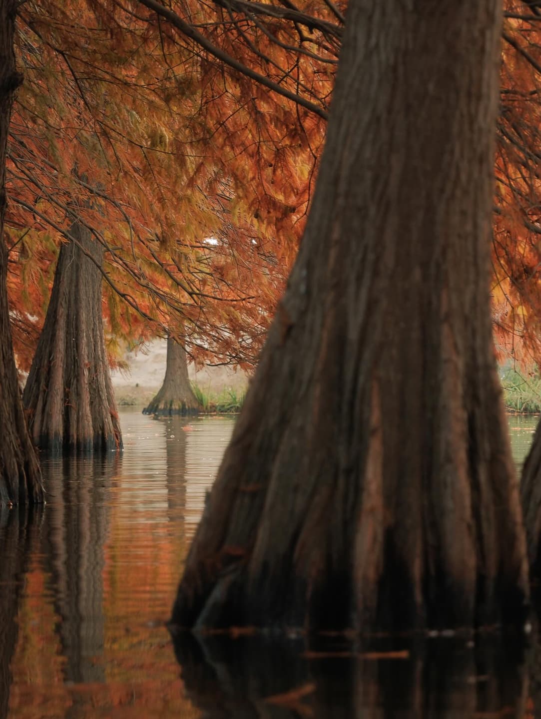 Lacking wood, ask for counsel. Lacking water, ask for gentleness. 3