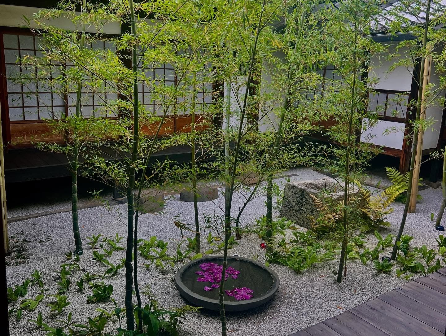 Kyoto 3