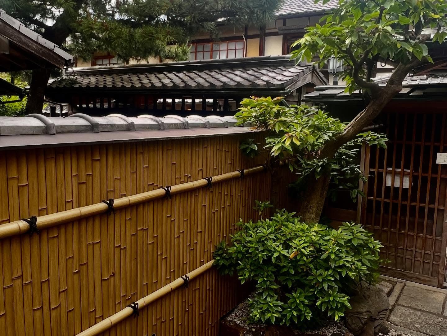 Kyoto 6