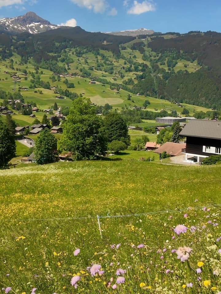 A place truly blessed by the heavens ☀️🌳🏘️🏔️🌾🐚. 7