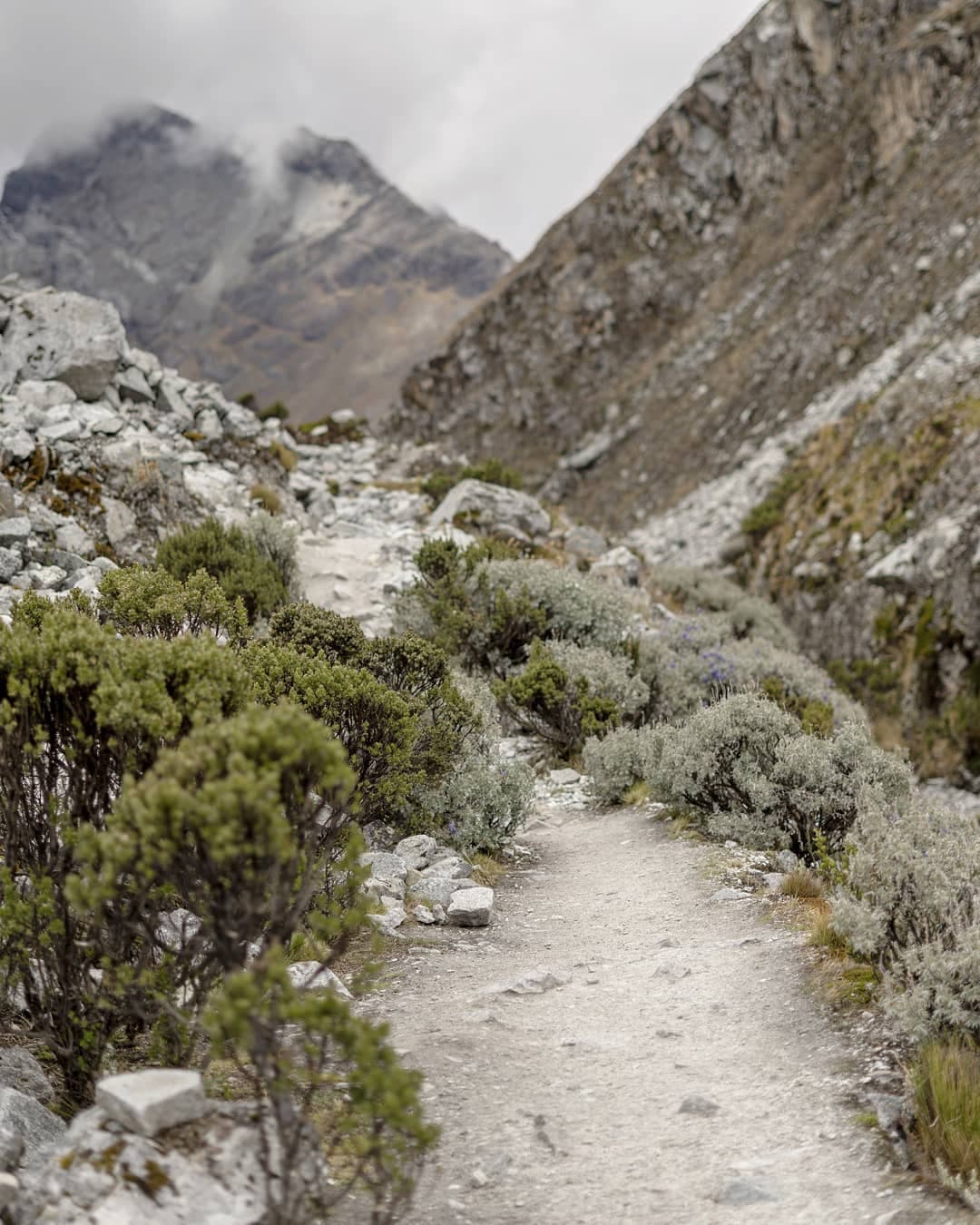 Andean Dream Calling