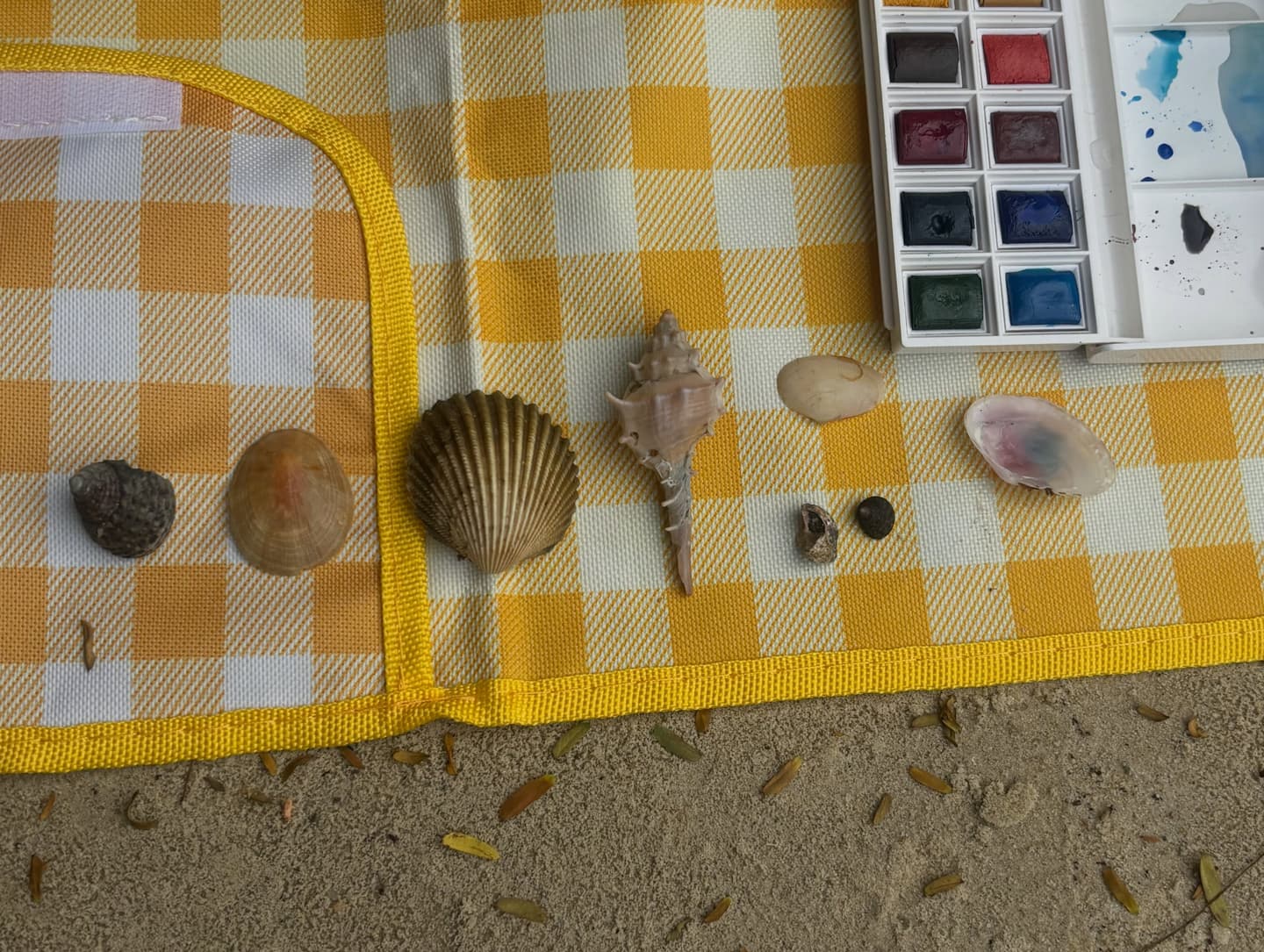 A Fool 7