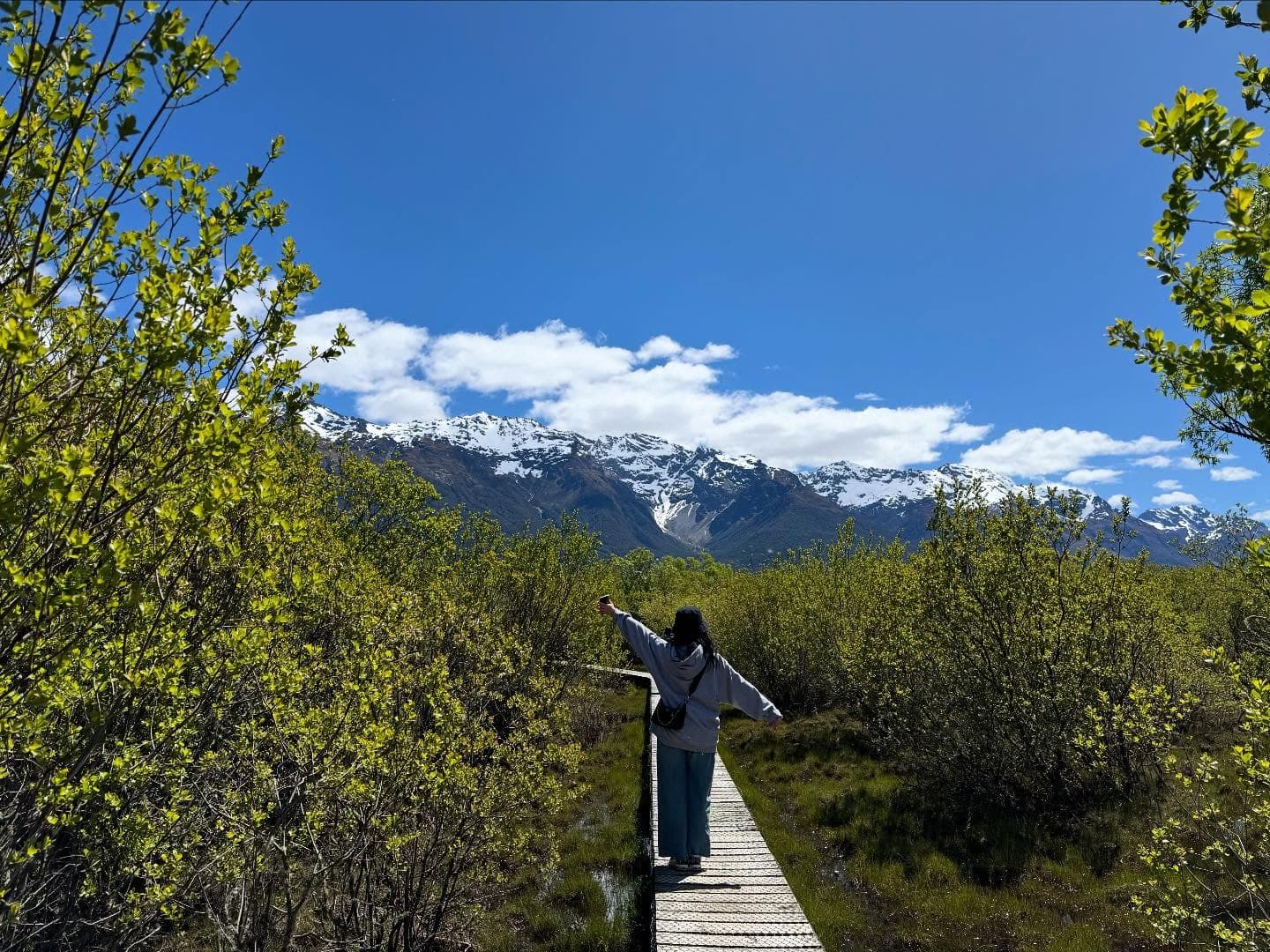 New Zealand Landscapes, Part Two 7
