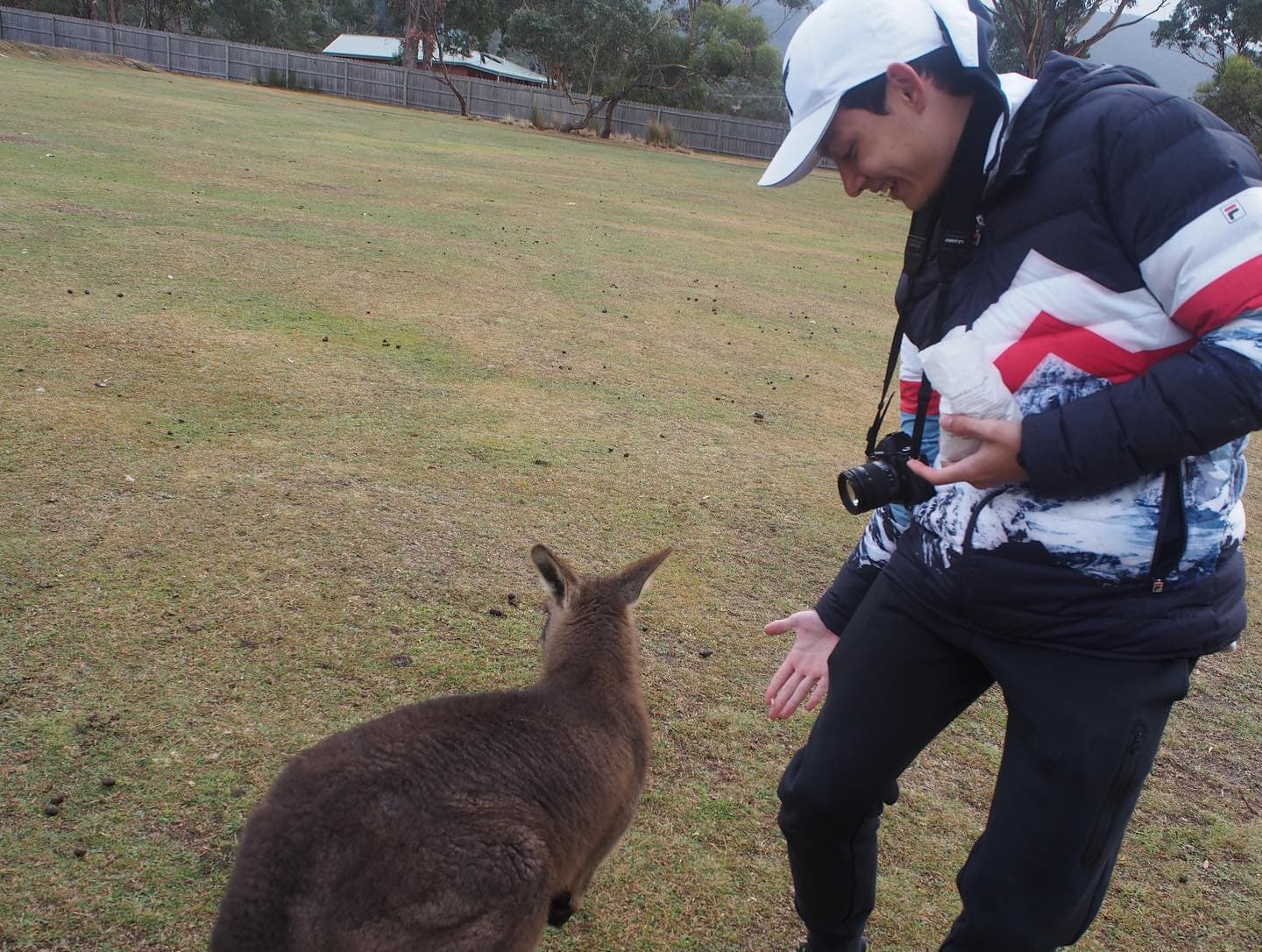 I love Tassie❤️📷🦘🐨