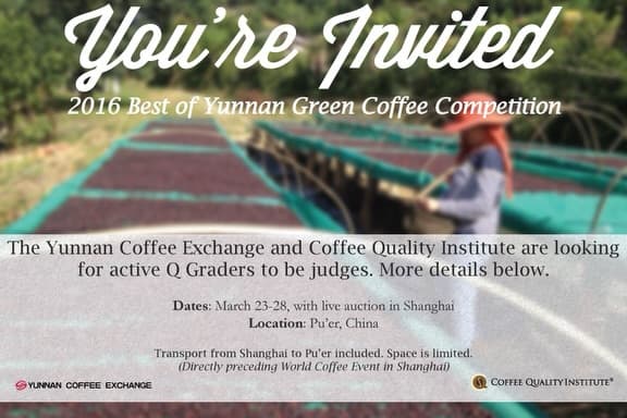 My Coffee Journey: Ten Years of Judging 5