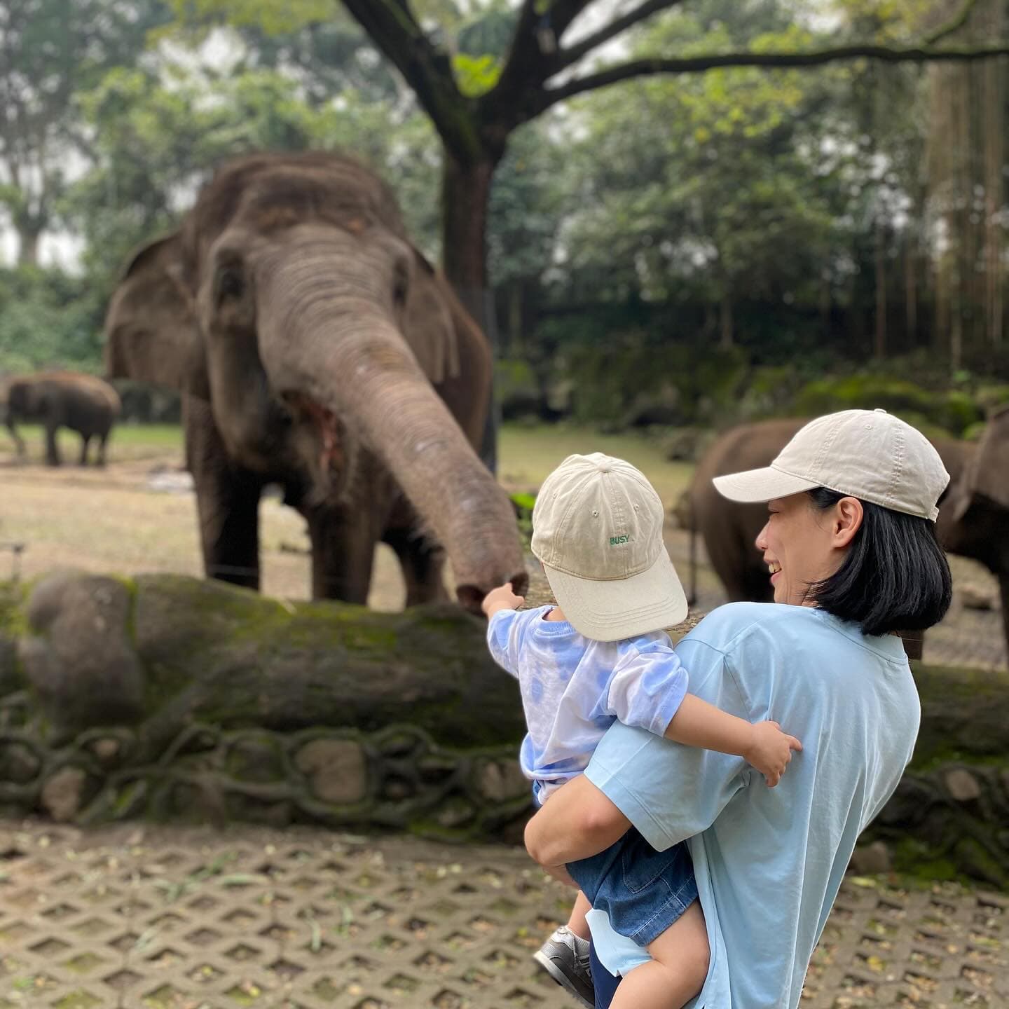 Taman Safari 8
