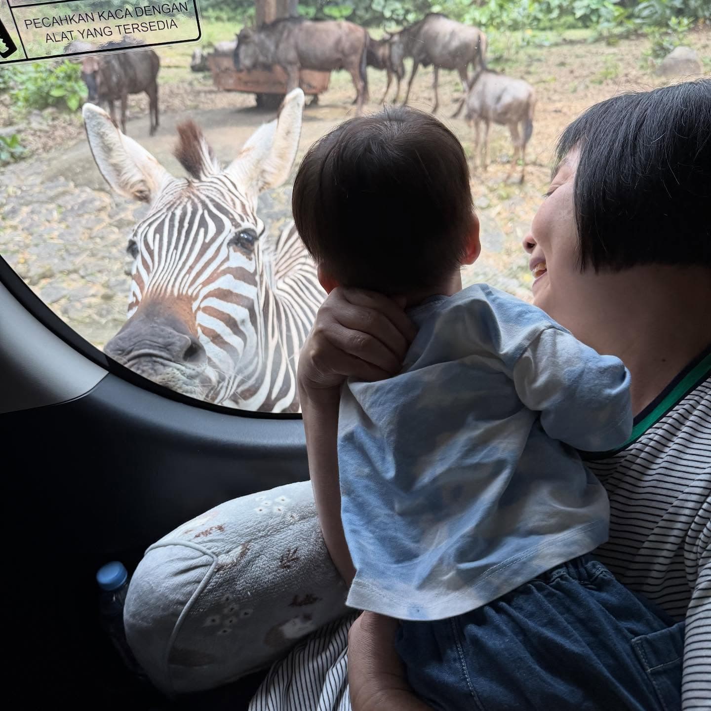 Taman Safari 2