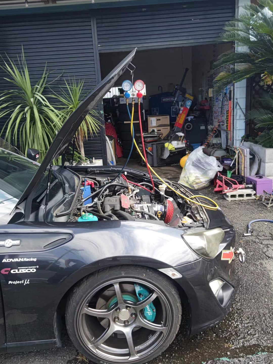 Car's 5