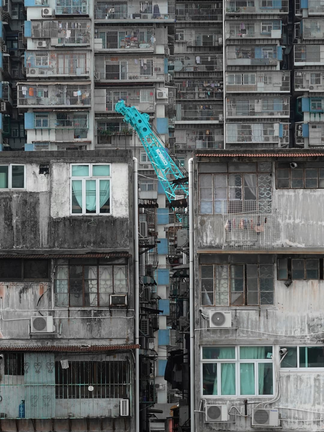 Macau 7