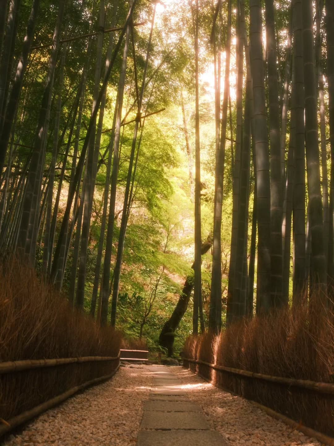 Kamakura Anime Fan Map 4