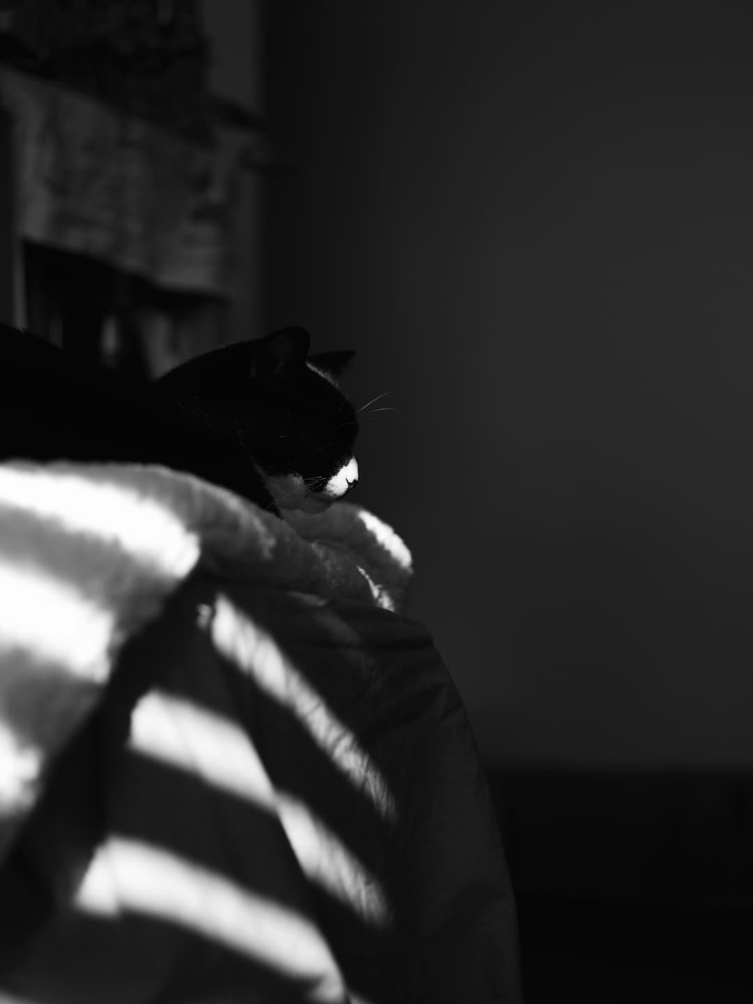 Quiet Spot in the Sun