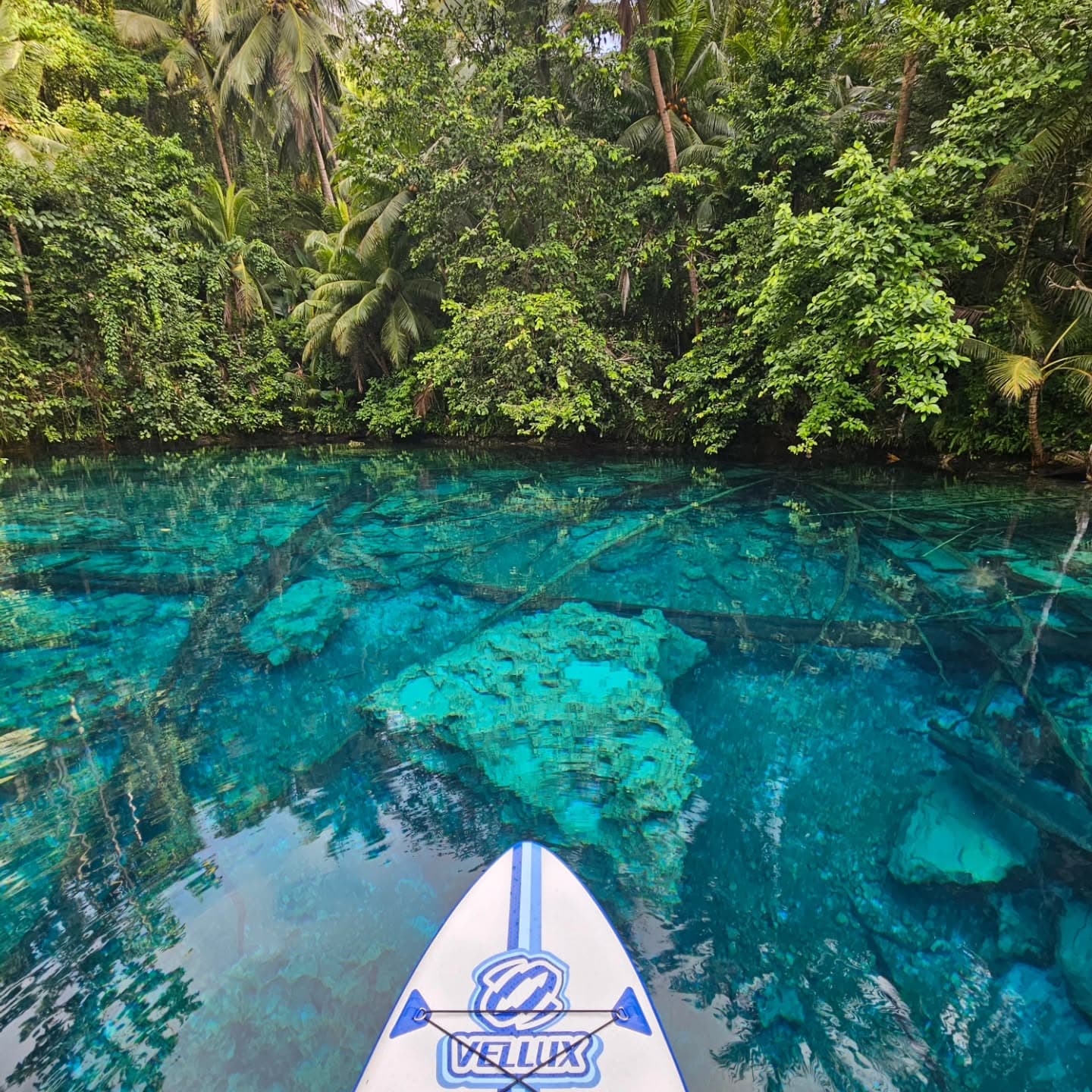 Indonesia Part 2: Lombok to Sulawesi 8
