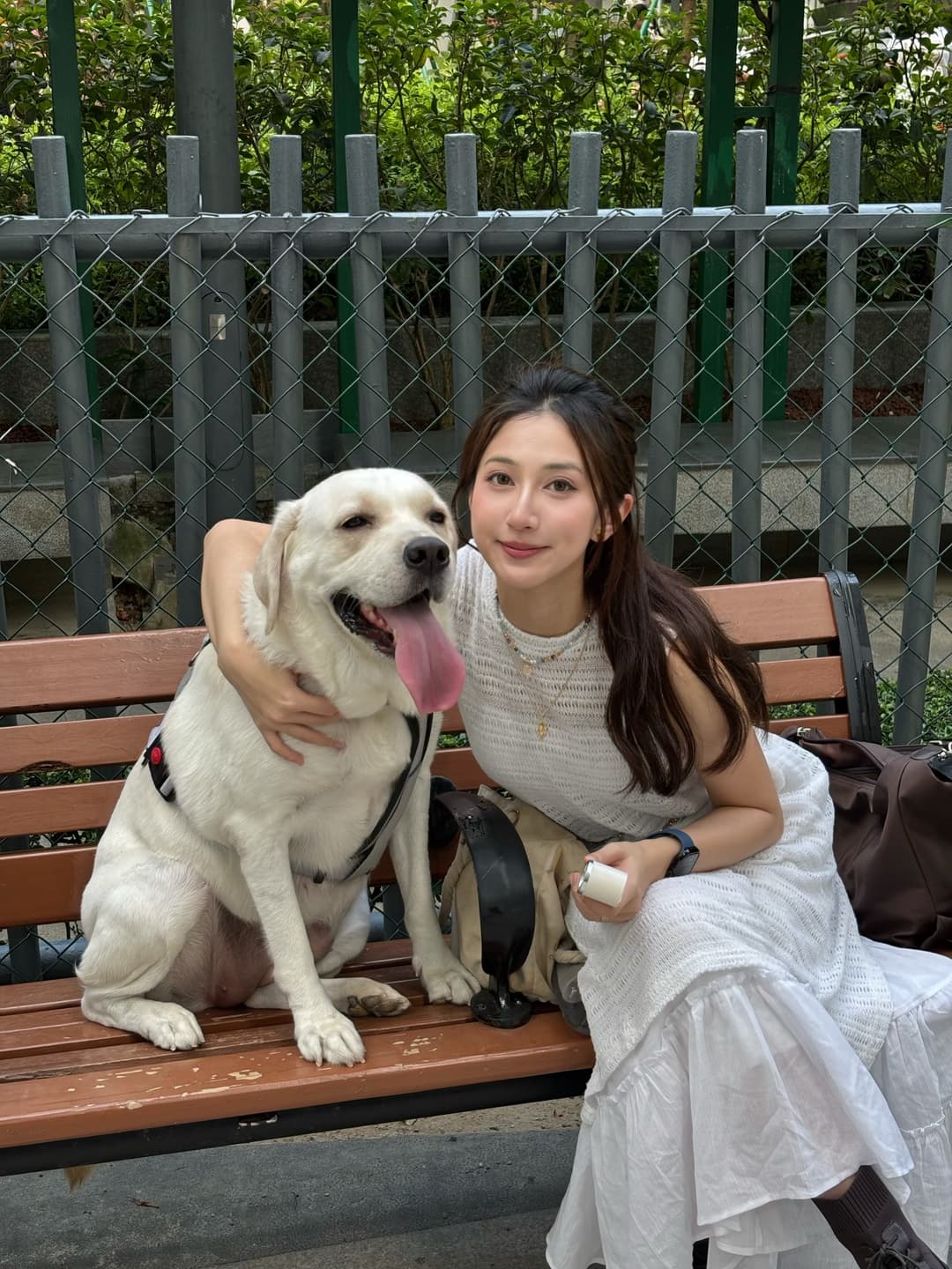 A day cured by a dog 🤍 6
