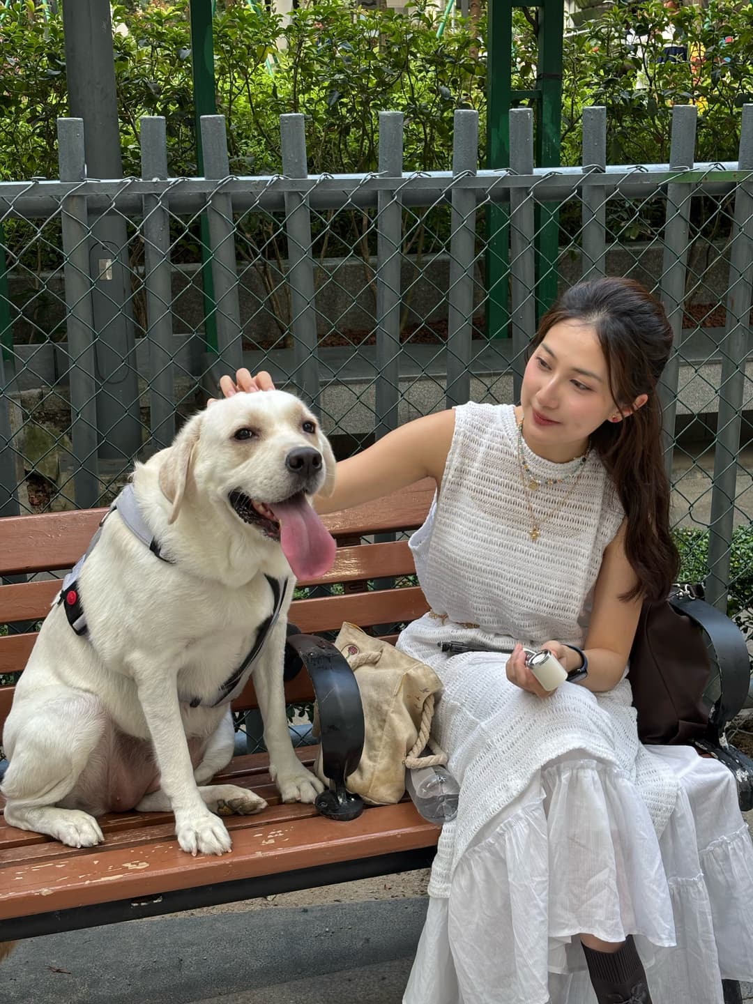 A day cured by a dog 🤍 2