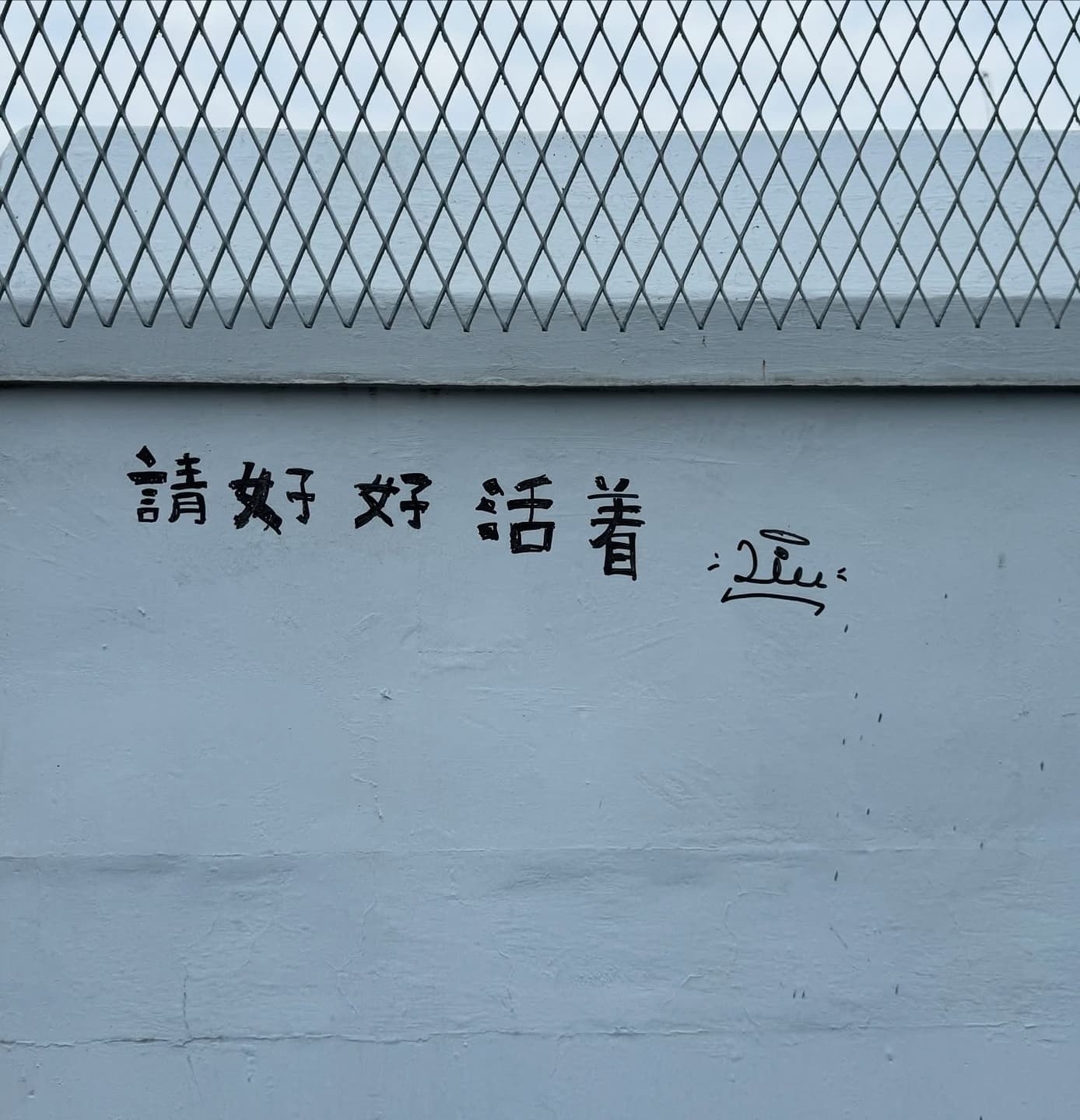 20 6