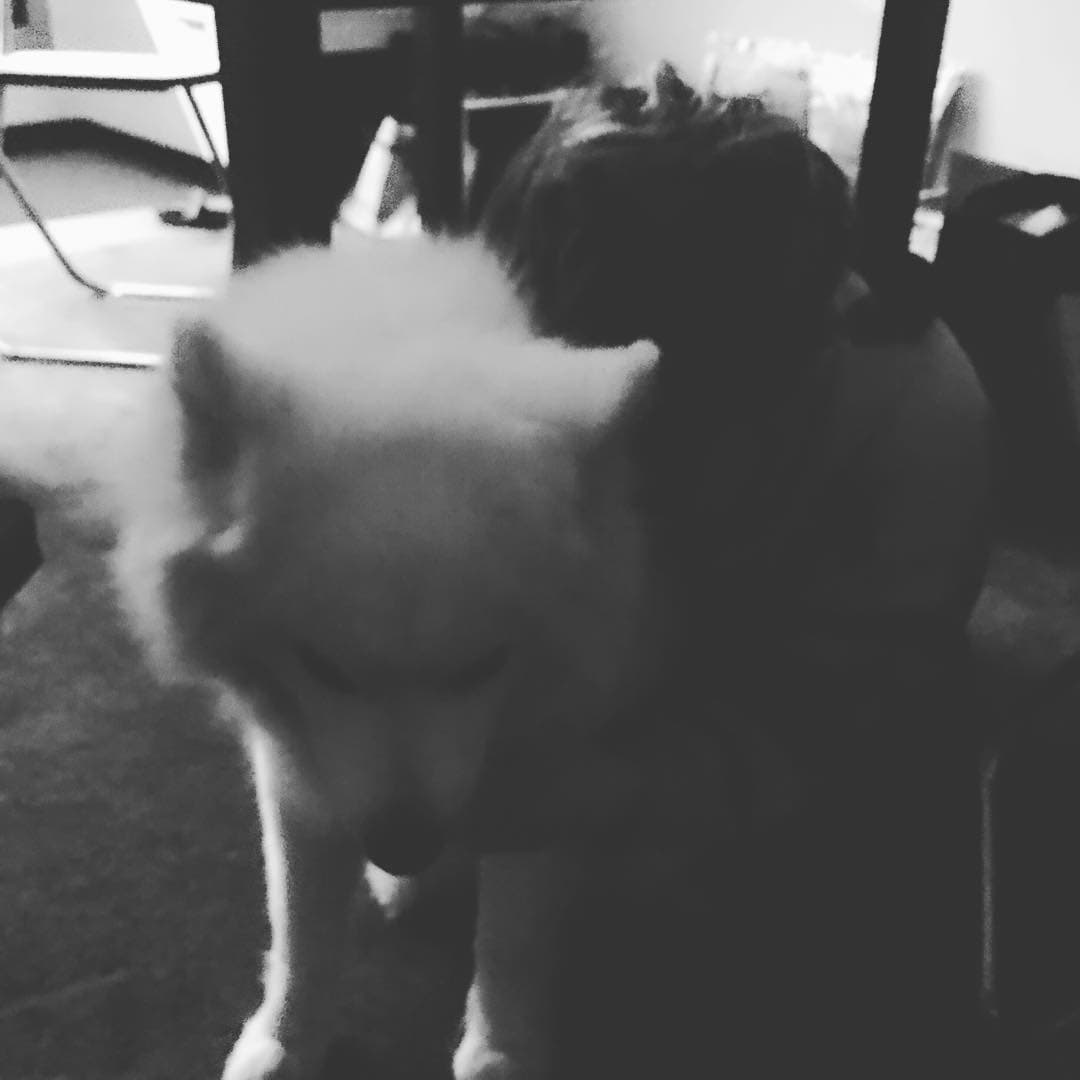 A goodbye means no more seeing each other.