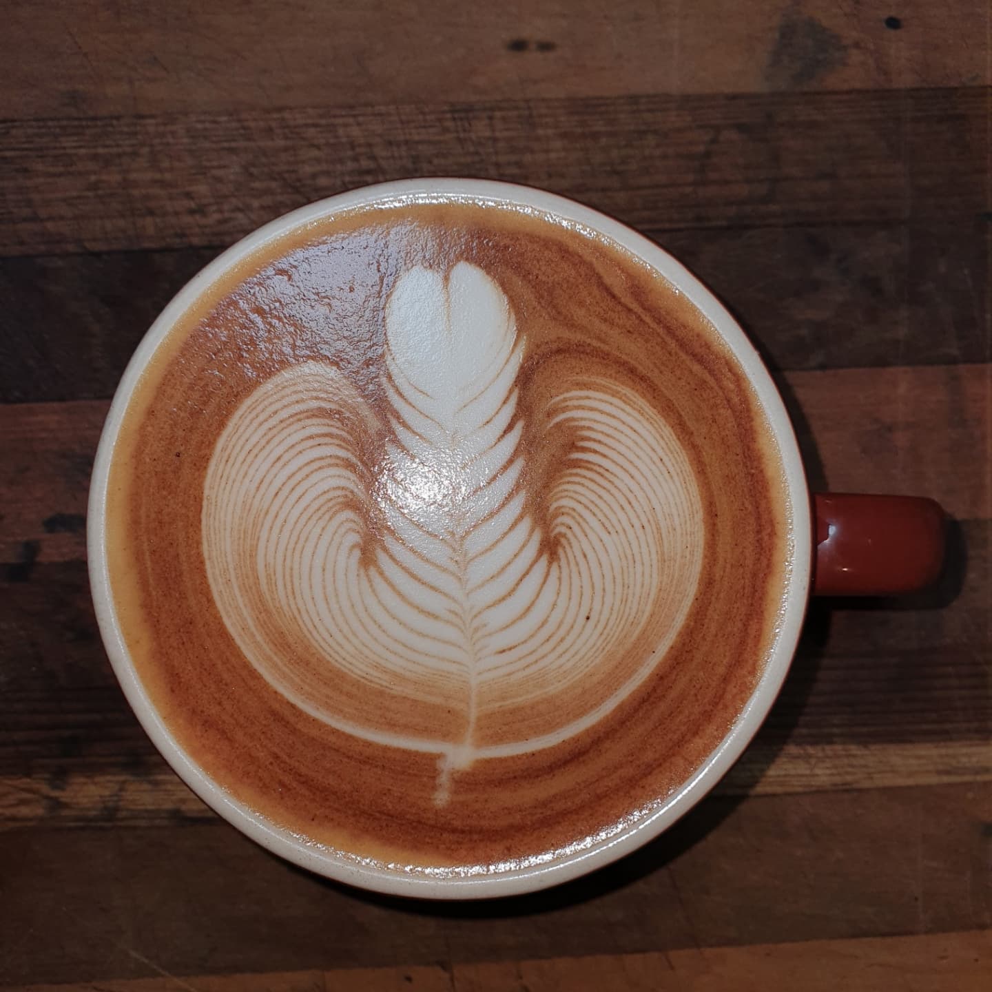 Latte art practice for the café 4