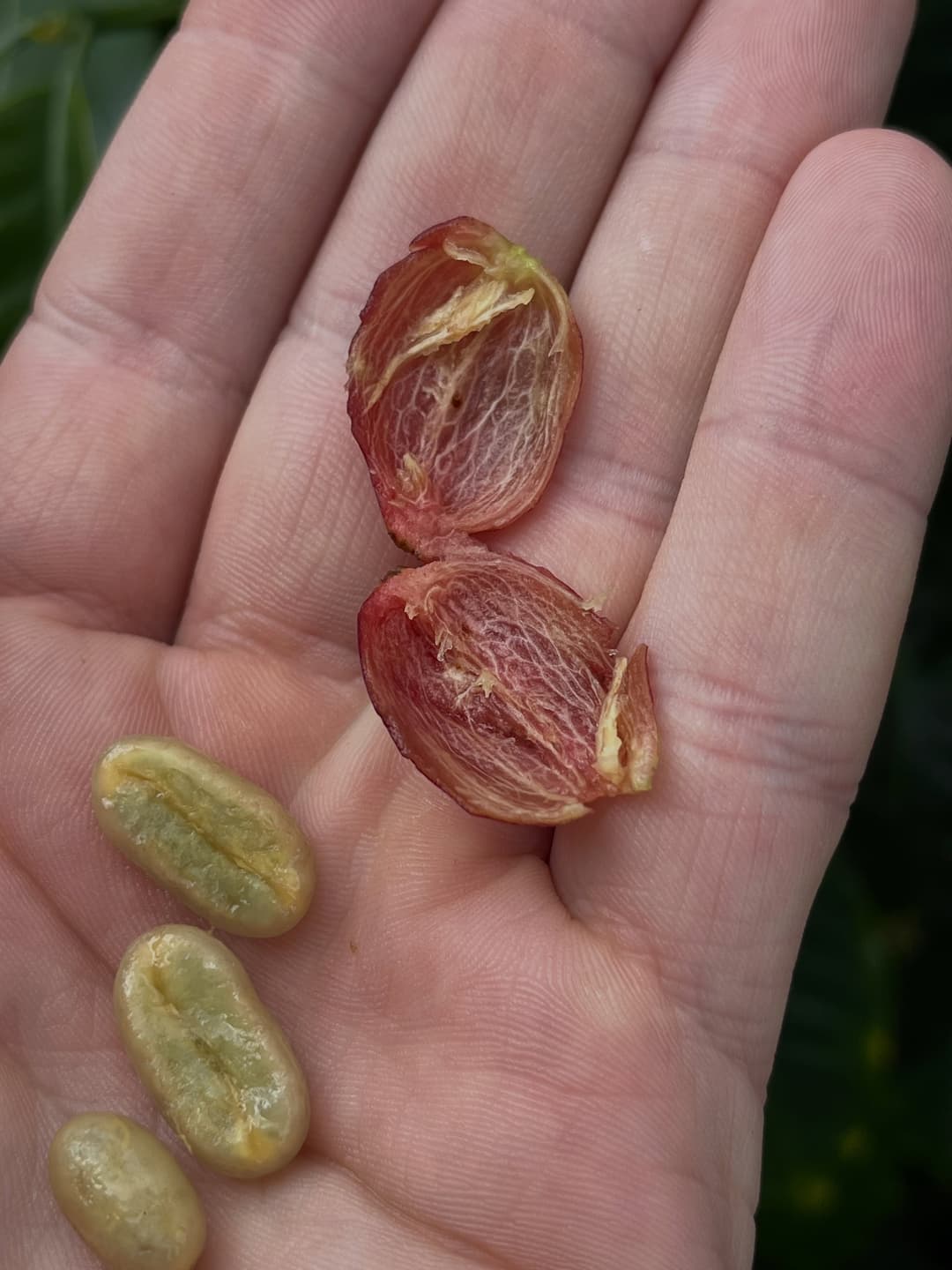 Colombian Coffee Quality Journey 2
