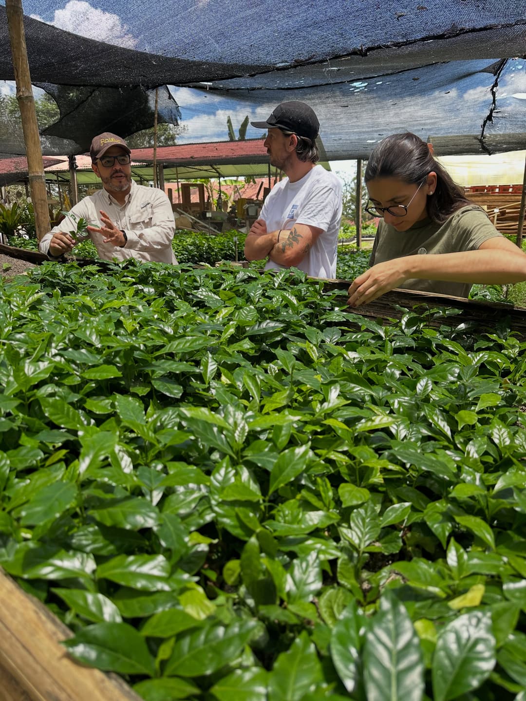 Colombian Coffee Quality Journey 5